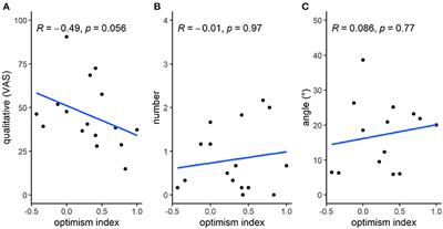 Using the Judgment Bias Task to Identify Behavioral Indicators of Affective State: Do Eye Wrinkles in Horses Reflect Mood?